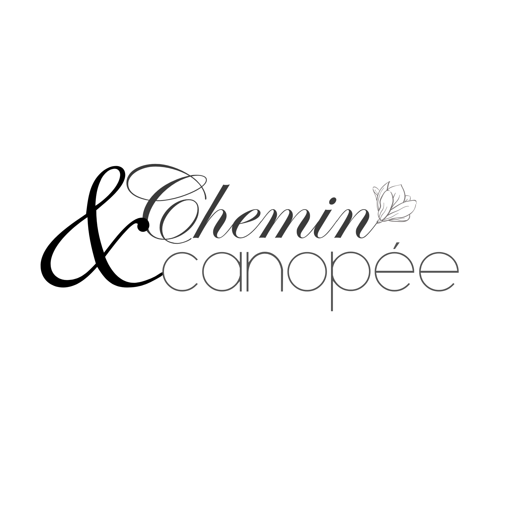 Logo simple noir