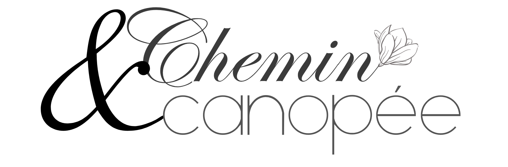 Logo simple noir logo